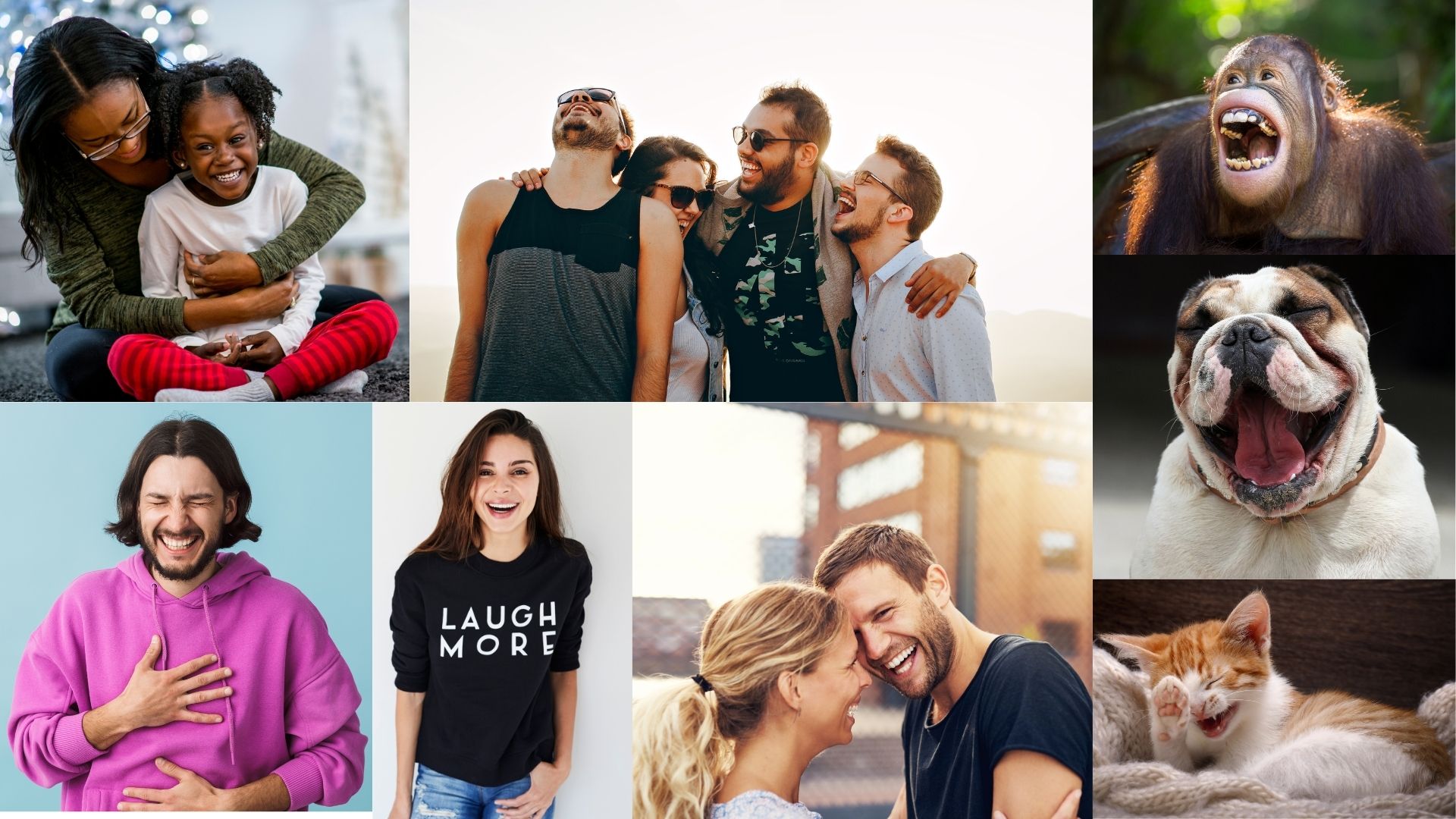 Collage of people and cute animals laughing