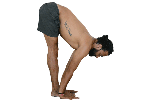 Ardha Uttanasana Devvrat Yoga Sangha