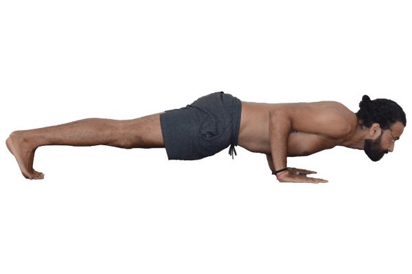 Chaturanga Dandasana Devvrat Yoga Sangha