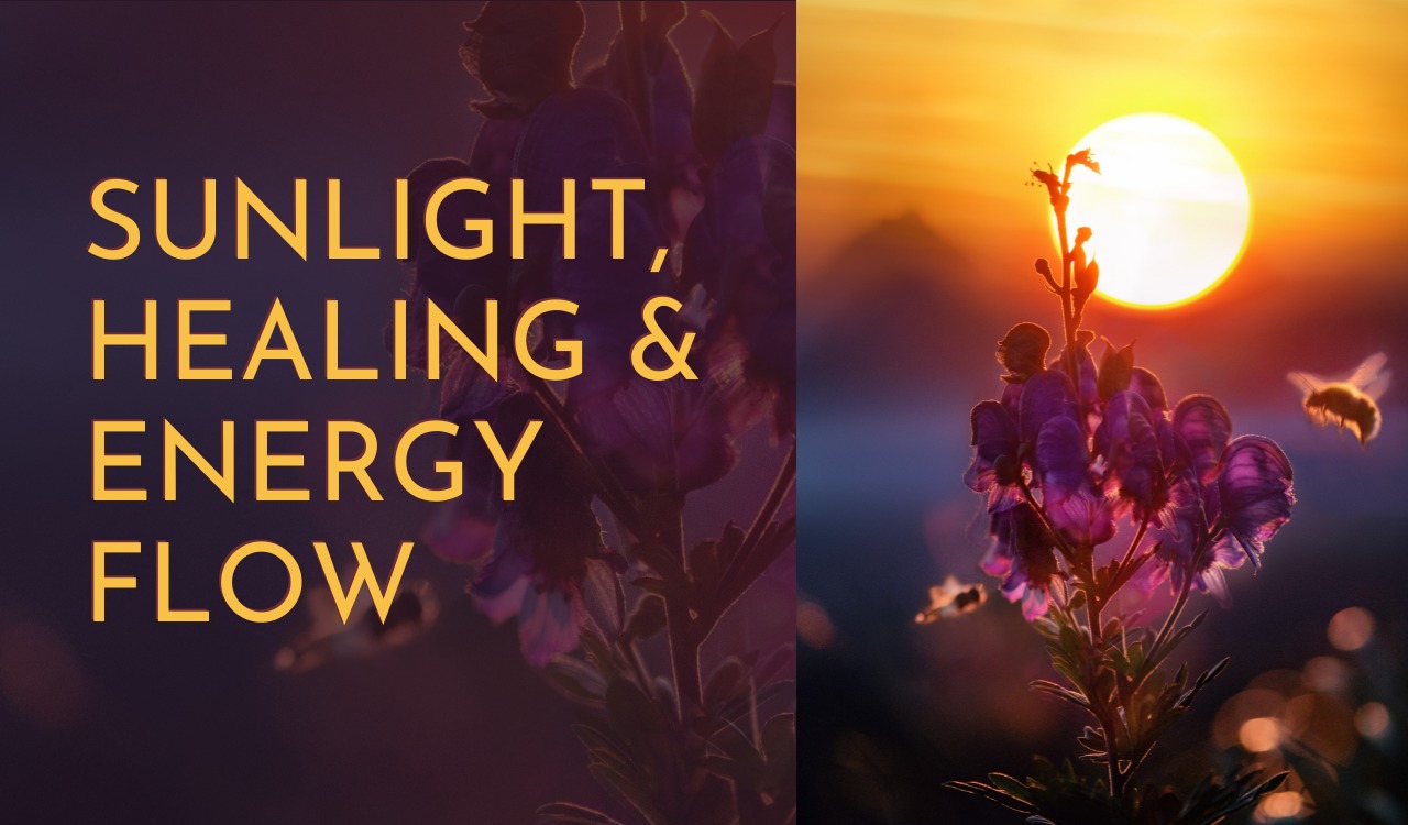 Sunlight Healing and Energy Flow Title Card for article in Mindful Soul Center Magazine - Sun, Flower Bee and Title