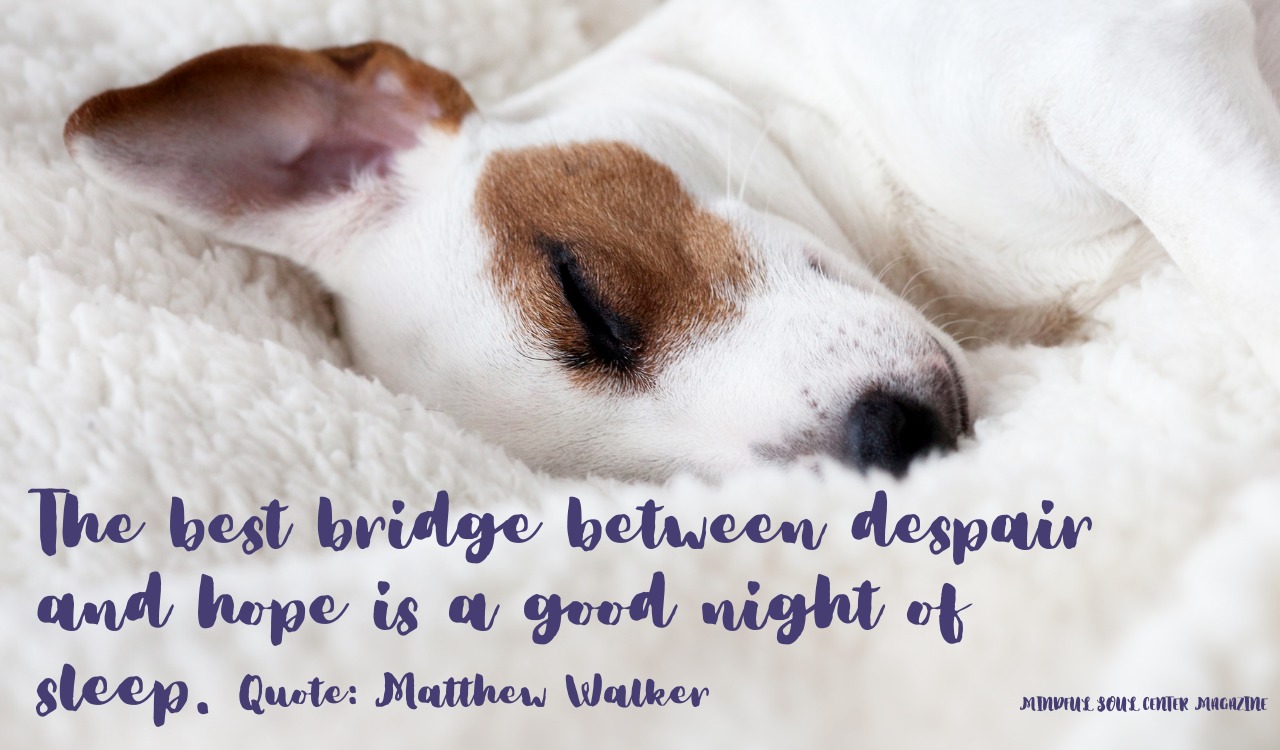 The best bridge between despair and hope is a good night of sleep. - Matthew Walker quote