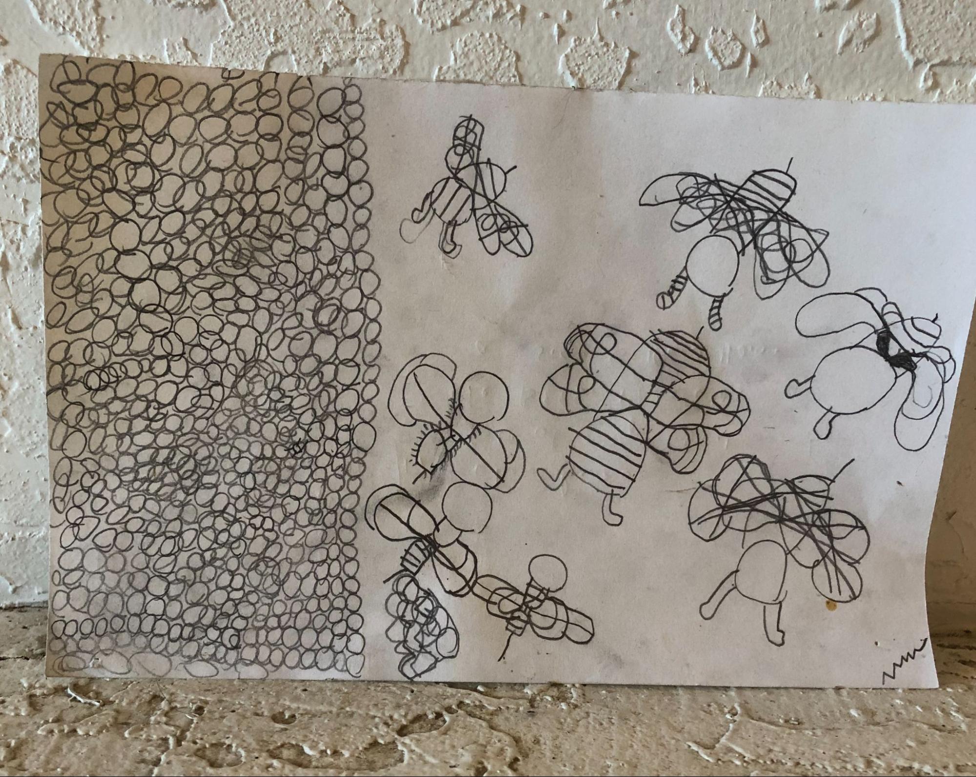 April's son's drawing of bees before the bees came